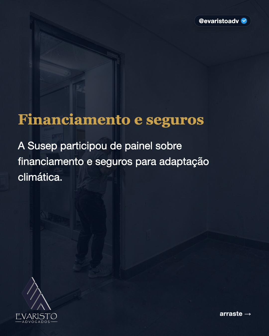 Arte 2 — Financiamento e seguros