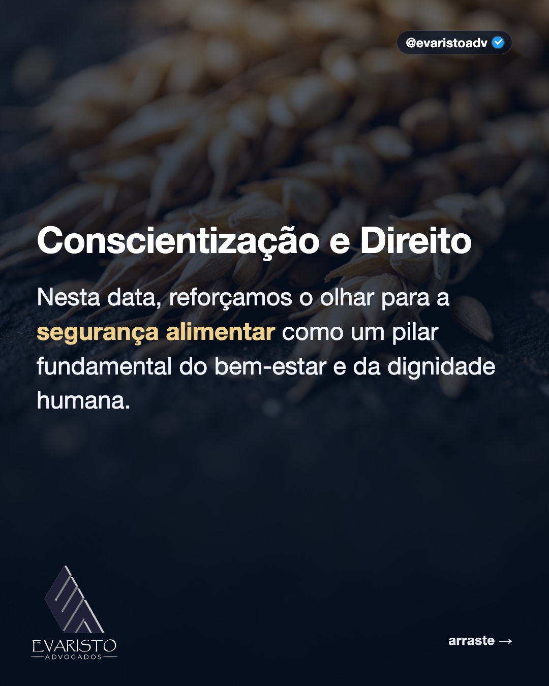 Arte 2 — Conscientização e Direito