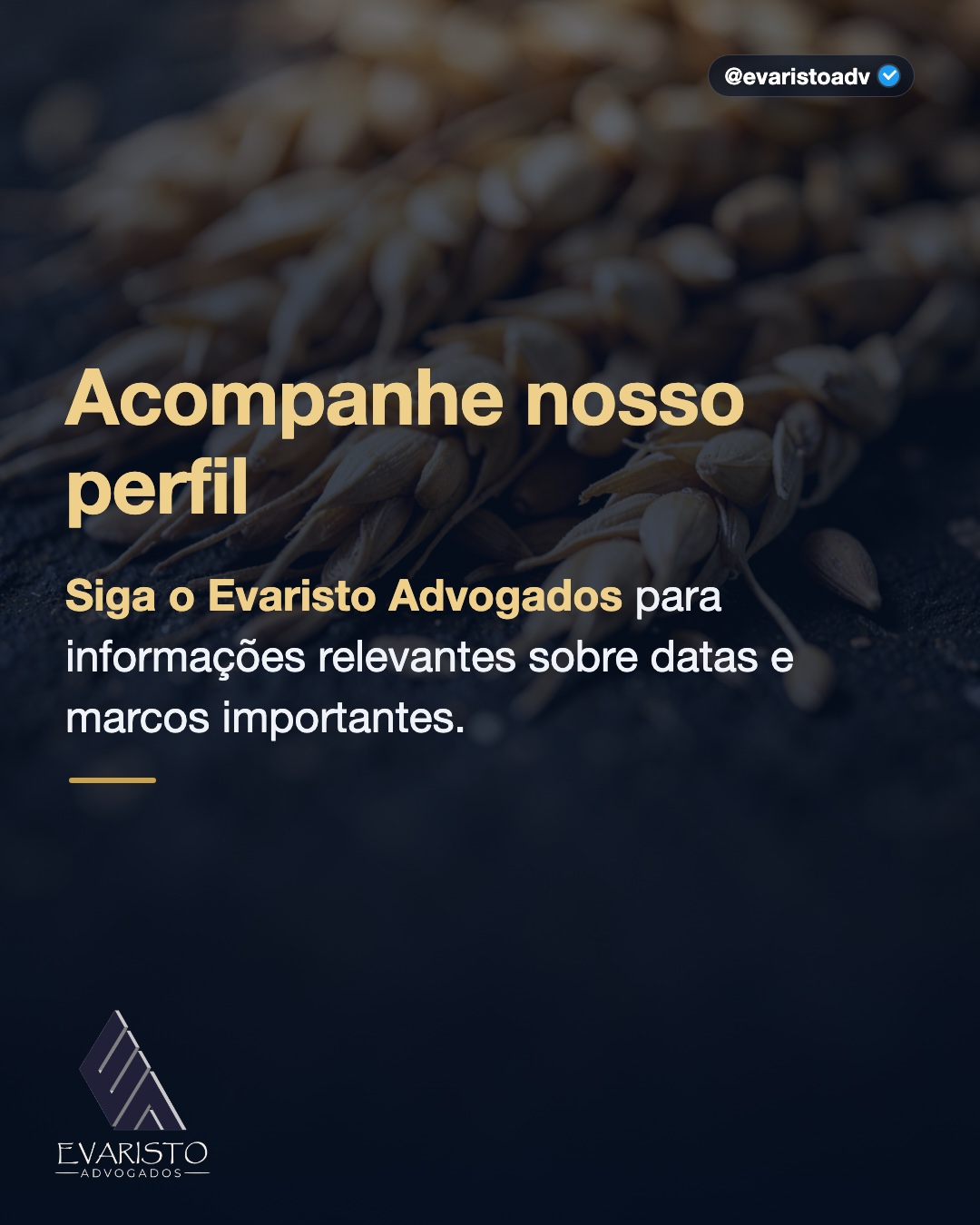Arte 3 — Acompanhe nosso perfil